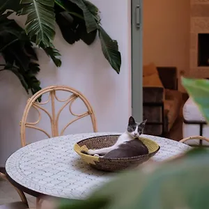 visit hotel